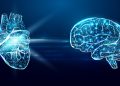 The Science of Heart Coherence & Intuition