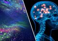 A Quantum Shift? Where We Seem To Be Now On Life After Death