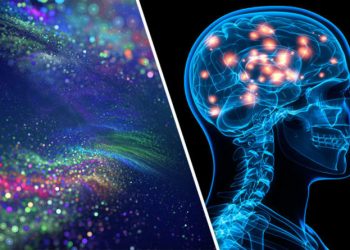 A Quantum Shift? Where We Seem To Be Now On Life After Death
