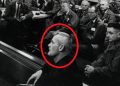 Is This What You Think They Would Look Like? Supposed Pictures of Real Extraterrestrials