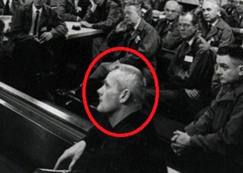 Is This What You Think They Would Look Like? Supposed Pictures of Real Extraterrestrials