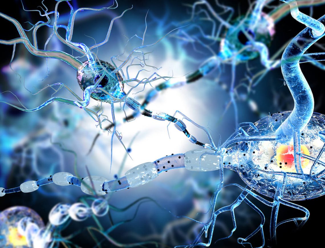 How To Activate Autophagy: Your Body’s Self-Cleansing System