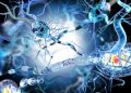 How To Activate Autophagy: Your Body’s Self-Cleansing System