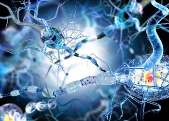How To Activate Autophagy: Your Body’s Self-Cleansing System