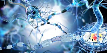 How To Activate Autophagy: Your Body’s Self-Cleansing System