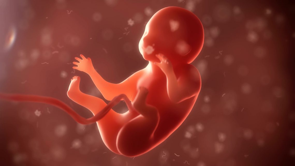 Do We ‘Exist’ Before We Are Born? A Woman Who Remembers Shares Her Story