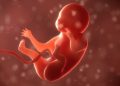 Do We ‘Exist’ Before We Are Born? A Woman Who Remembers Shares Her Story