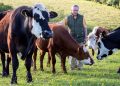 Farmer Gives His Cows To A Sanctuary After Seeing Them “Terrified”