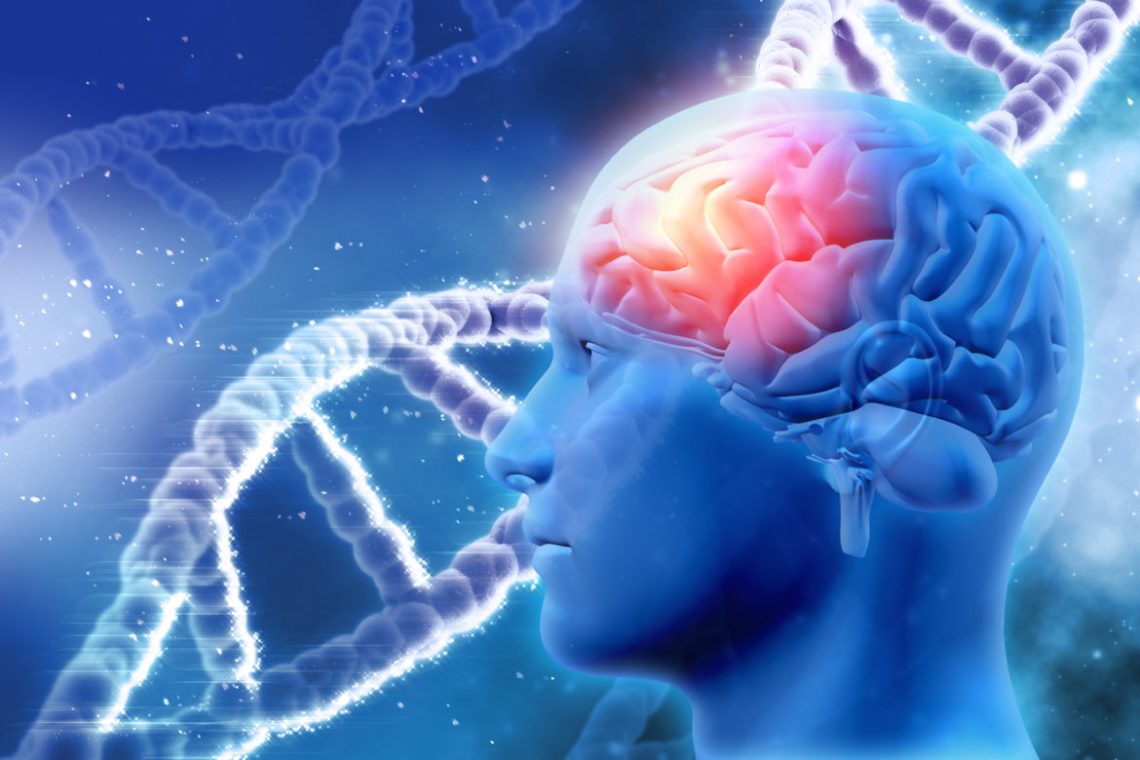 Scientists Successfully Perform A ‘Memory Transplant’ Between Living Organisms