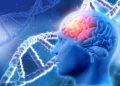 Scientists Successfully Perform A ‘Memory Transplant’ Between Living Organisms