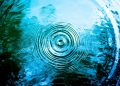 We Are a Planetary Super-Organism In A Symbiotic Relationship With The Earth