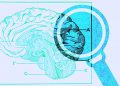 8 Useful Tools For Discerning Truth In The Age of Information Warfare