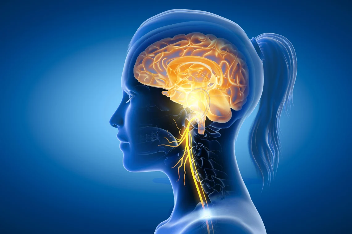 My Experience with Vagus Nerve Stimulation
