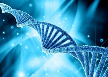 Research Shows We Can Heal With Vibration, Frequency & Sound
