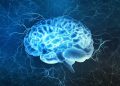 Neuroplasticity: How To “Carve A New Pathway In Your Brain” & Literally Rewire It