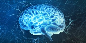 Neuroplasticity: How To “Carve A New Pathway In Your Brain” & Literally Rewire It