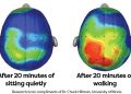 Exercise: How It Can Make Your Brain Bigger, Smarter, & Healthier