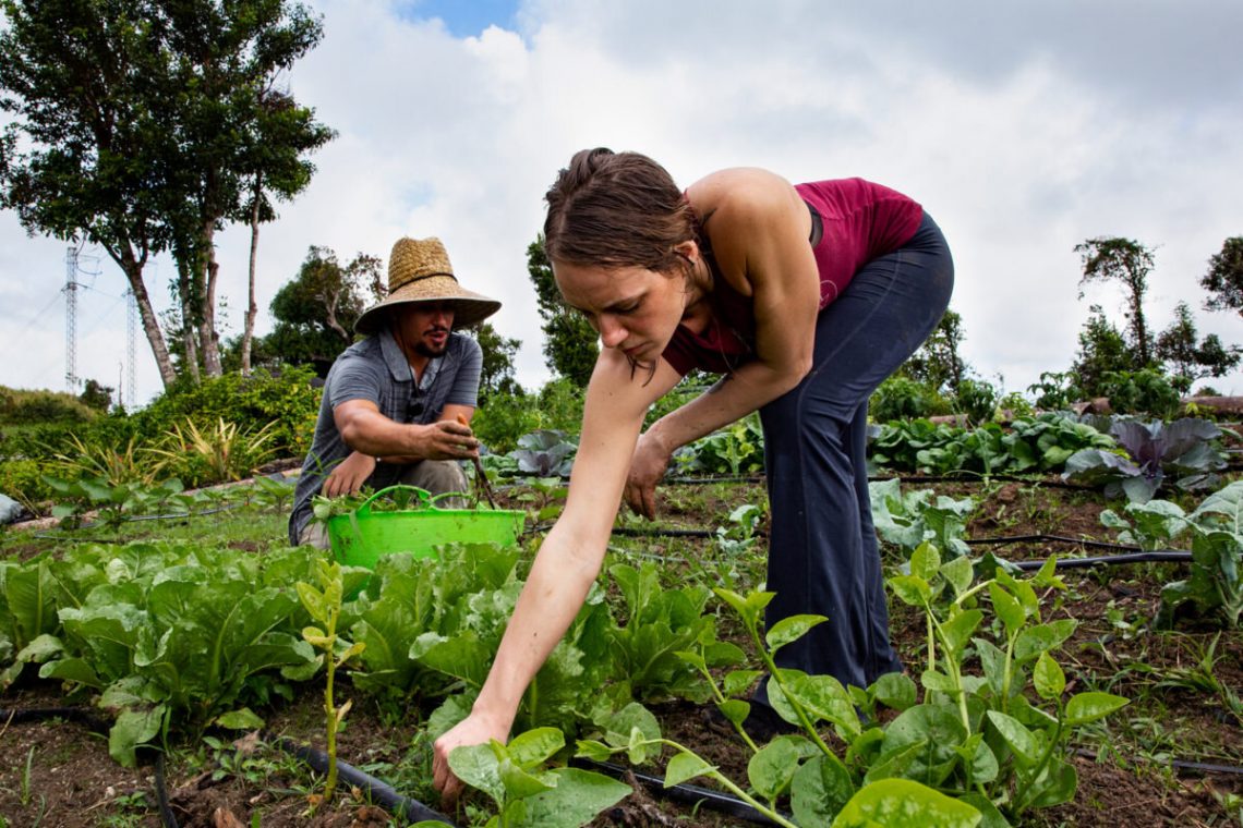 Why The World Is Turning To Regenerative Agriculture