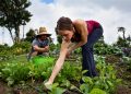 Why The World Is Turning To Regenerative Agriculture
