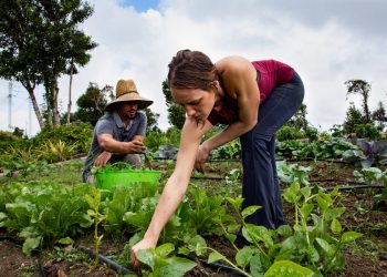 Why The World Is Turning To Regenerative Agriculture