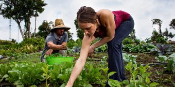 Why The World Is Turning To Regenerative Agriculture