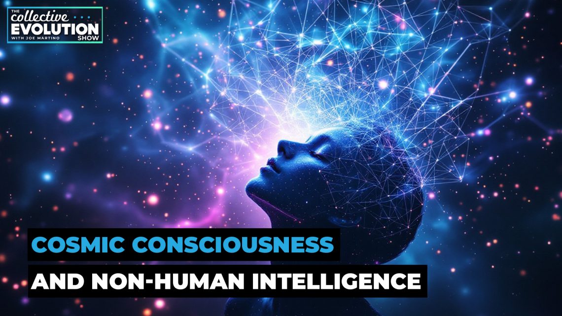 Ep. 54 | Apocalypse or Evolution? Making Sense of Global Chaos w Susan Manewich