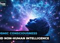 Ep. 54 | Apocalypse or Evolution? Making Sense of Global Chaos w Susan Manewich